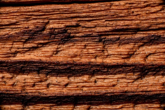 Texture of old wood close-up. Can be used as a background.