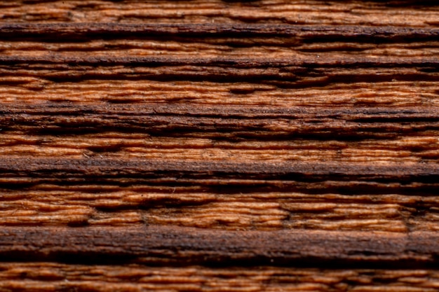 Texture of old wood close-up. Can be used as a background.