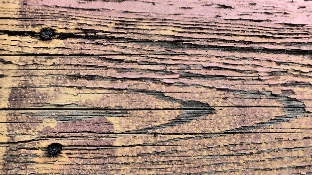 Texture of old wood Stump closeup Deep cracks in the wooden surface insect passages shabby condition of wooden structures Effect of wind and water on wood