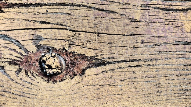 Texture of old wood Stump closeup Deep cracks in the wooden surface insect passages shabby condition of wooden structures Effect of wind and water on wood