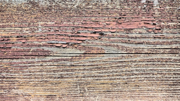 Texture of old wood Stump closeup Deep cracks in the wooden surface insect passages shabby condition of wooden structures Effect of wind and water on wood