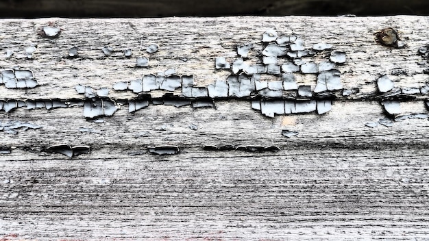 Texture of old wood Stump closeup Deep cracks in the wooden surface insect passages shabby condition of wooden structures Effect of wind and water on wood