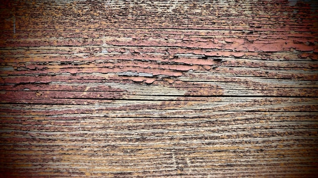 Texture of old wood Stump closeup Deep cracks in the wooden surface insect passages shabby condition of wooden structures Effect of wind and water on wood