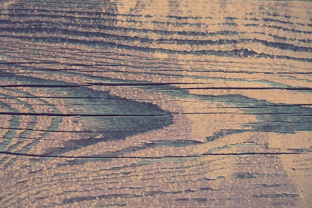 Texture of old wood Stump closeup Deep cracks in the wooden surface insect passages shabby condition of wooden structures Effect of wind and water on wood