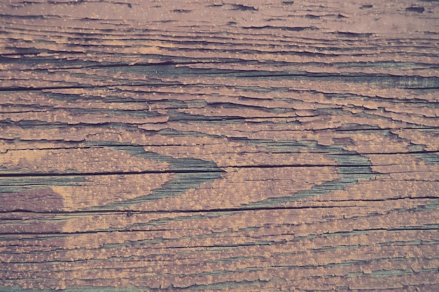 Texture of old wood Stump closeup Deep cracks in the wooden surface insect passages shabby condition of wooden structures Effect of wind and water on wood