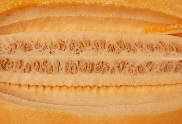 Texture of orange melon pulp with seeds, full frame