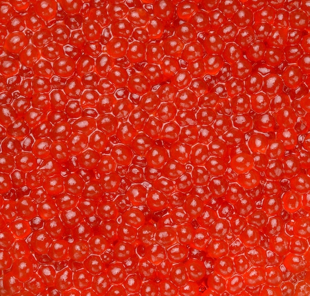 Texture of red grainy chum salmon caviar