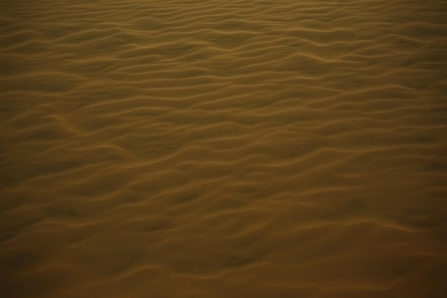 Texture sand in the desert