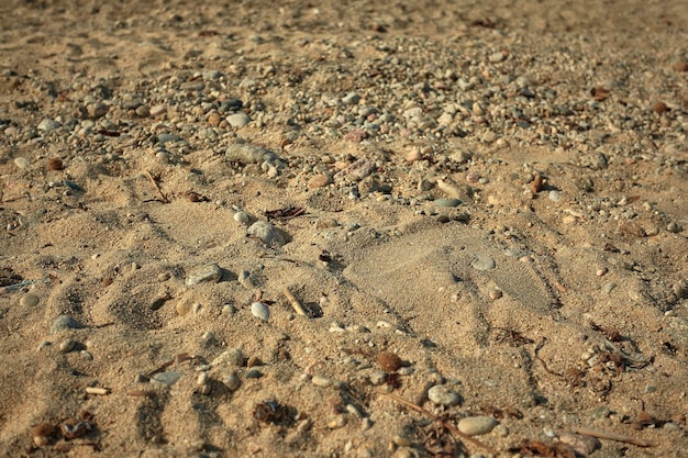 Texture of the sand of southern Sardinia