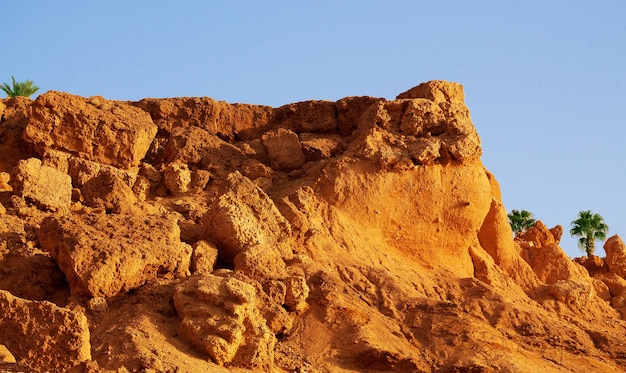 Texture sandyclay soil with a vertical surface