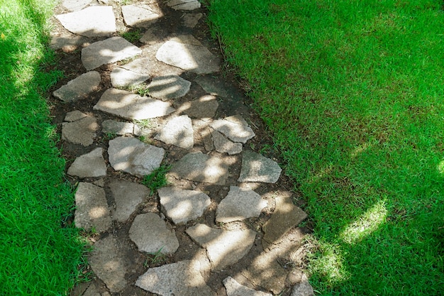 Texture of sidewalk concrete floor and grassy design,Stone walkway with green grass in the park