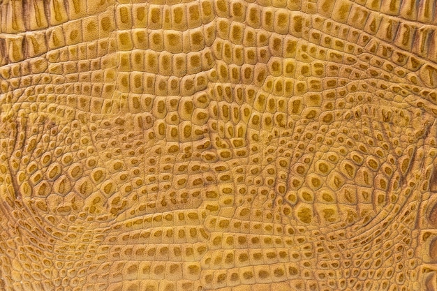 Texture of the skin yellow