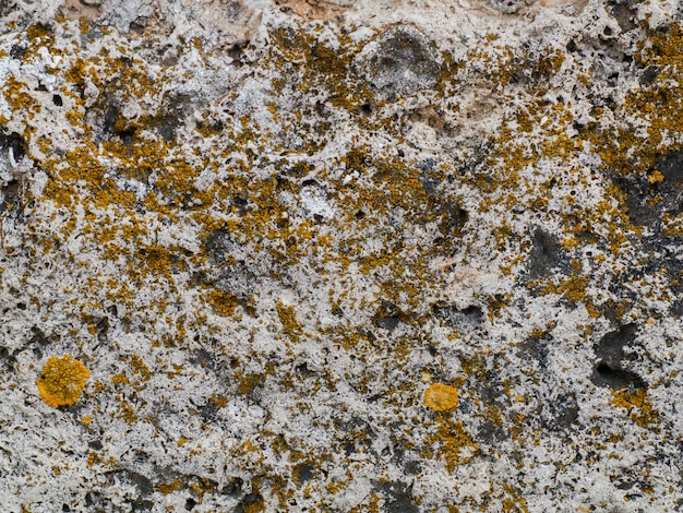 The texture of the stone, badly injured from the impact of time