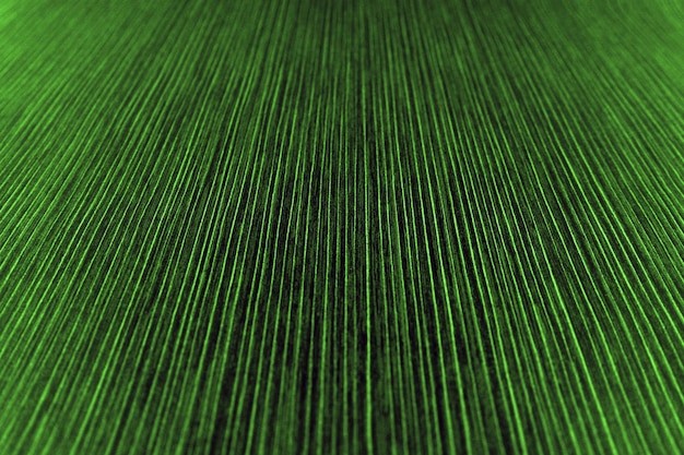 The texture of the striped paper in dark green shade