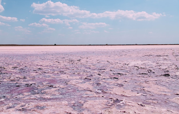 texture of the surface of a dried pink salt lake.