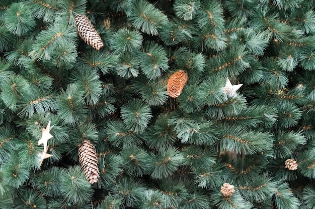 Texture of wall decorated with green pine fir branches fir cones christmas decorations background