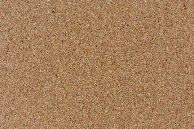 Texture of the wet sand for background