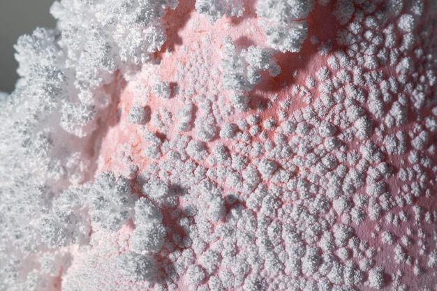 Texture of white mold on pink stone surface