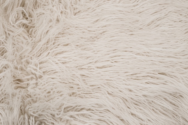 Texture of white shaggy fur.