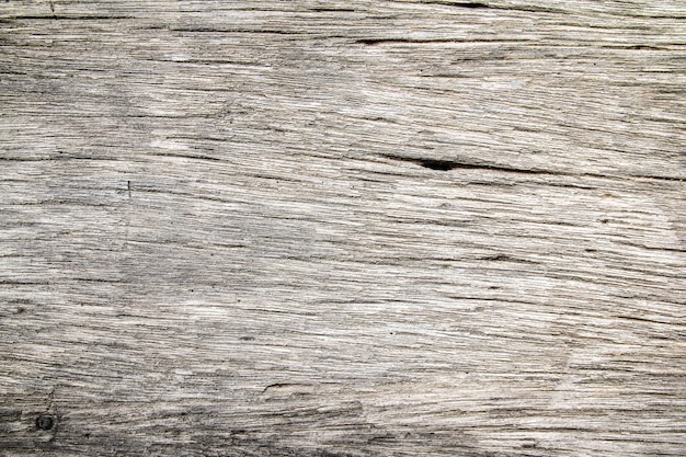 Texture of wood background