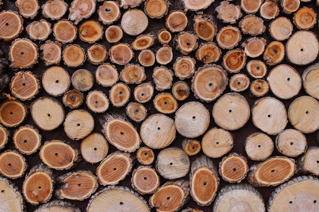 The texture of wood slices closeup