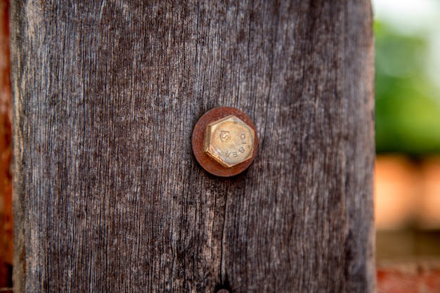 Texture wood with old screw