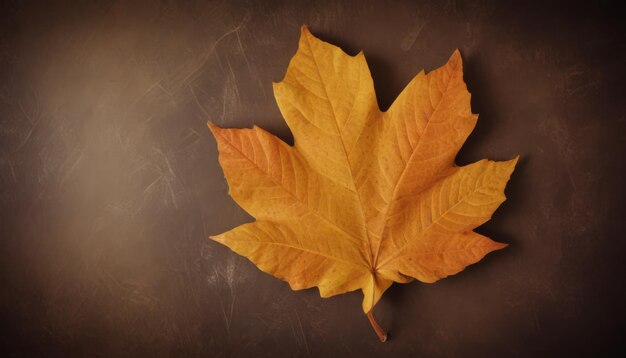 Textured Autumn leaf background with room for copy space