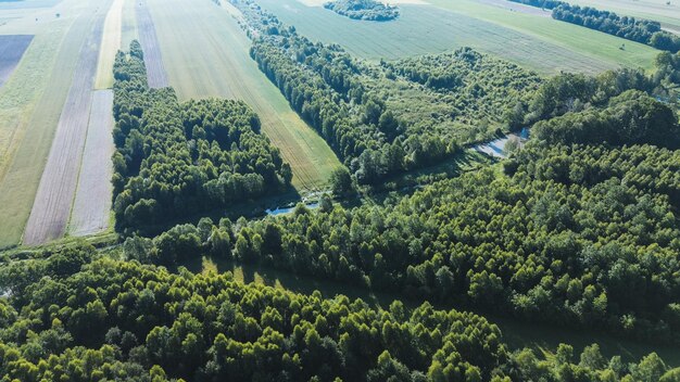 Photo textured beauty of forest and fields aerial