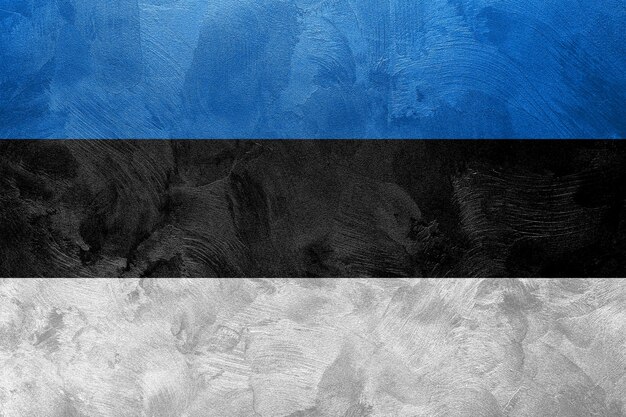 Textured photo of the flag of Estonia