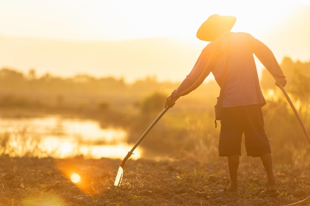 Thai agriculturist working in the field and watering young plant in sunset time