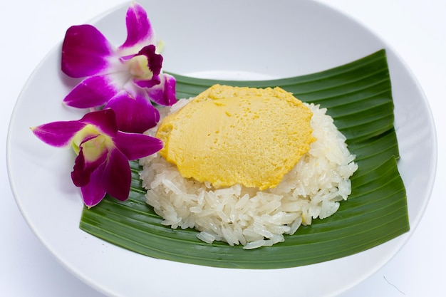 Thai dessert Sweet sticky rice with egg custard