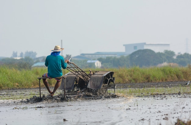 Thai farmer driving tiller tractor to plow paddy field  prepare new rice 