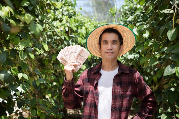 A Thai farmer wearing a red shirt is standing at a pepper garden holding Thai banknotes