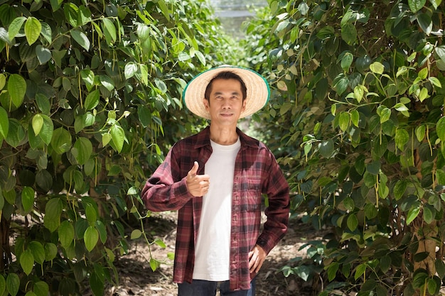 A Thai farmer wearing a red shirt posing thumbs up at a pepper plantation