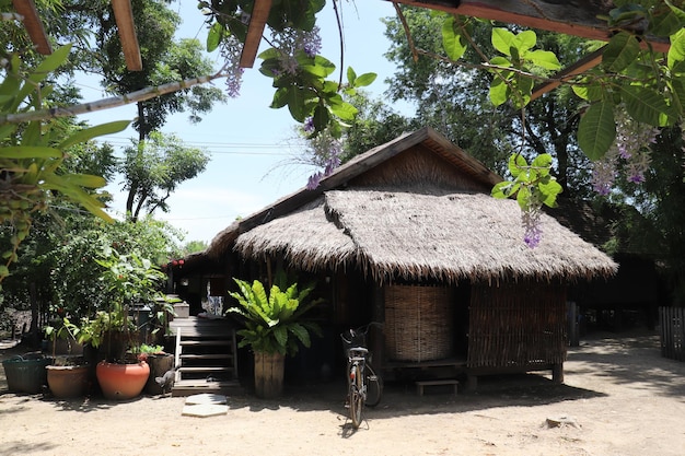 Thai houses in the north look shady, very relaxing.