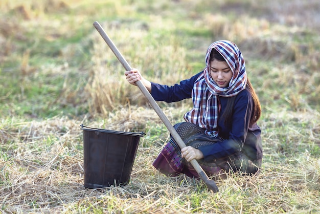 Thai local woman working on the field