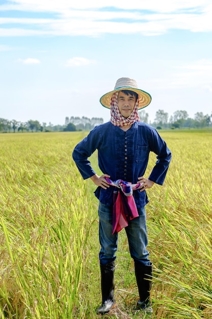 Thai male farmer in traditional dress and headdress standing in the middle of the rice field