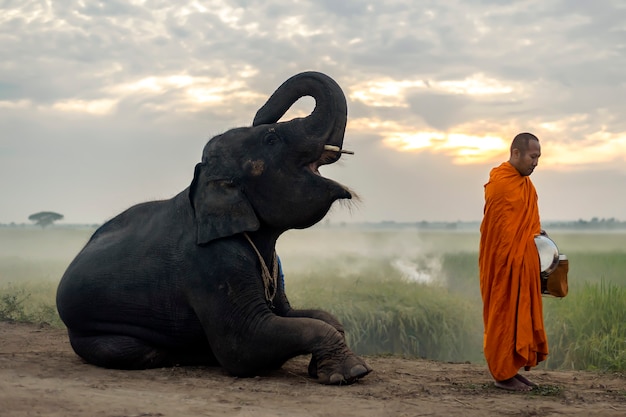 Thai monks are standing and waiting for alms to come in the morning.