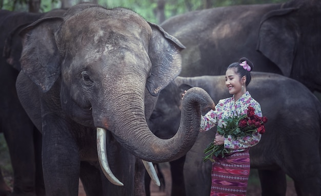 Thai Traditional fashionable lady with elephant