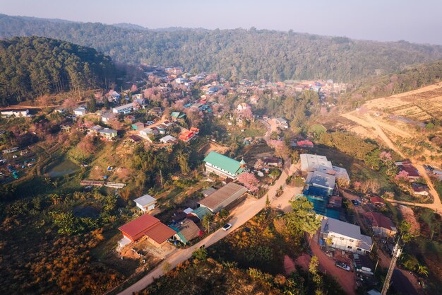 Thai tribe village in foggy with wild himalayan cherry tree blooming in springtime on countryside at Ban Rong Kla Phu Hin Rong Kla National Park