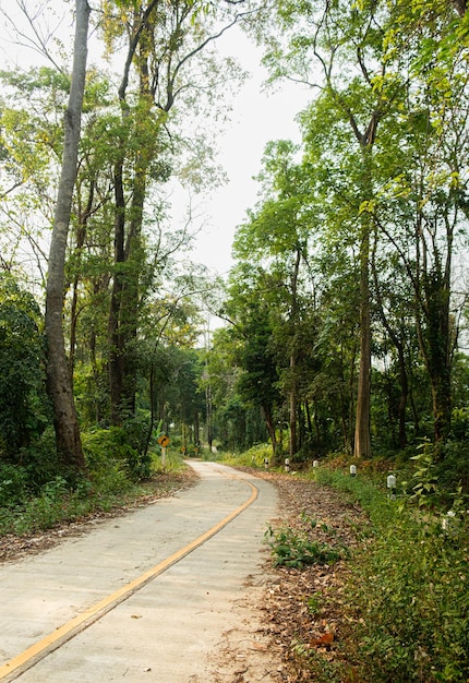 Thailand country road landscapeTraveler journey by roadsthe scenery of the country road