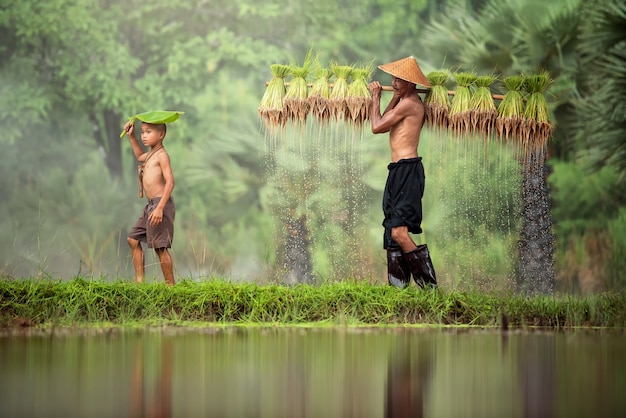 Thailand farmer worker