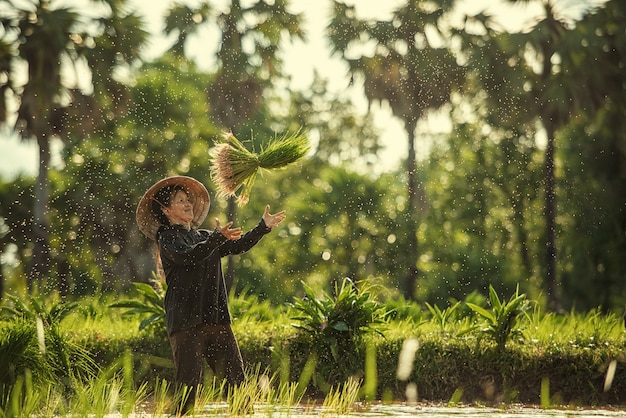 Thailand farmers rice planting and  grow rice in the rainy season