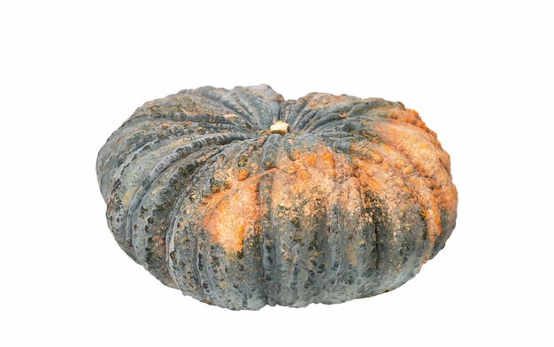 Thailand green pumpkin isolated