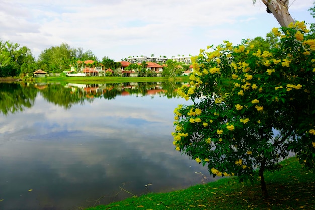 Thailand Phuket island lagoon area nature and houses beach and sea