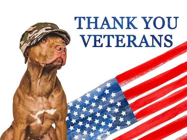 Thank You Veterans Brown puppy and American Flag