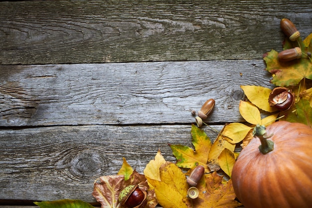 Thanksgiving autumn background, dark wooden surface with pumpkins, withered leaves, acorns and chestnuts, selective focus