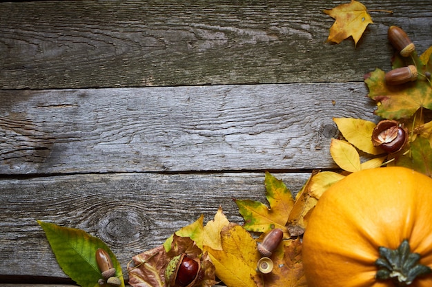 Thanksgiving autumn background, wooden surface with pumpkins, withered leaves, acorns and chestnuts