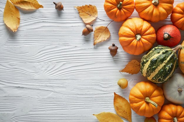 Photo thanksgiving and autumn decoration concept made from autumn leaves and pumpkin on light background