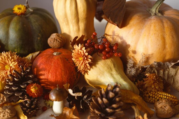 Thanksgiving background Pumpkins fall leaves and flowers berries mushroom and pine cones on table in sunlight Autumn harvest still life Fall banner